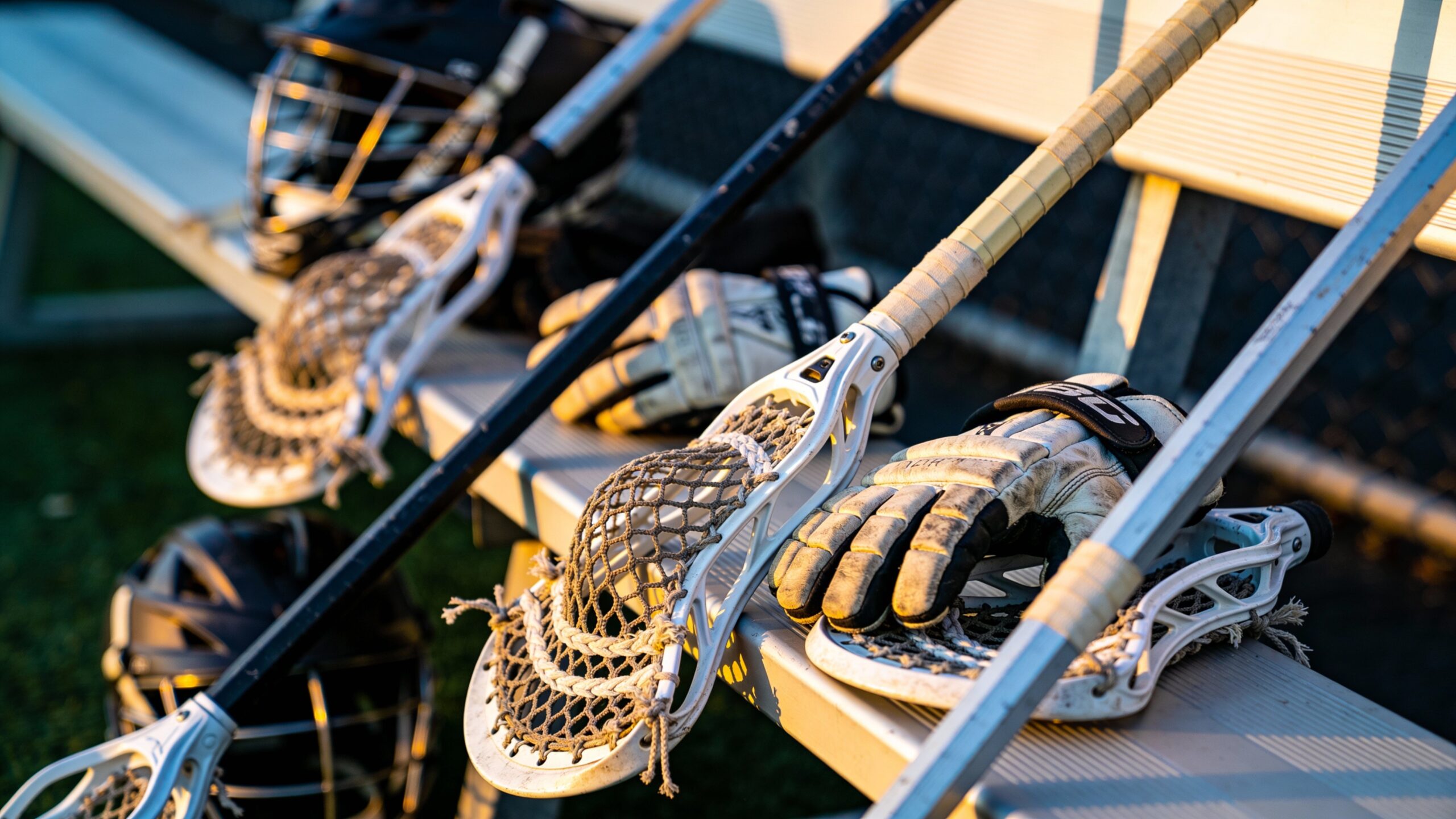 Lacrosse Galleries
